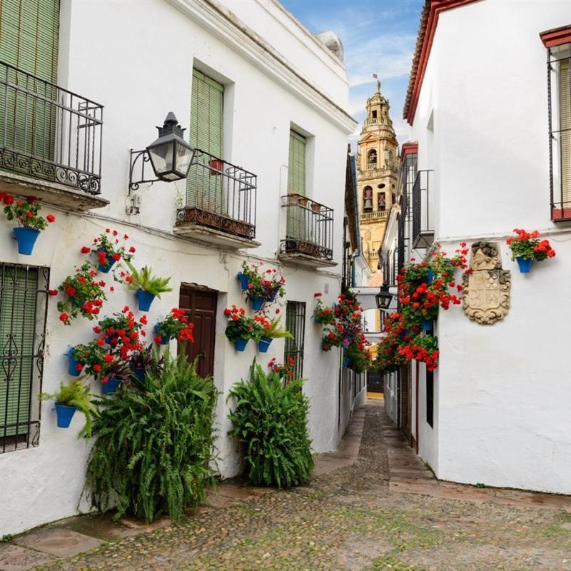 El Patio De San Miguel Apartment Córdoba Exterior foto